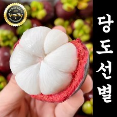 [유통마진제로] 솜사탕같은 프리미엄 태국산 망고스틴, 1세트, 500g (5-7과)