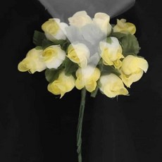 꽃공방 조화액자 유아 조화꽃 투톤 항장미 흰색노랑 chl+1684LI