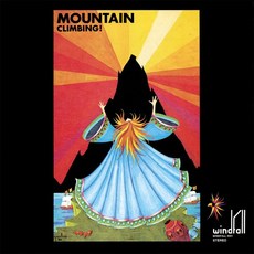 Mountain Artist Vinyl 비닐 LP 레코드 Climbing Black 미국 발송, Mountain Artist Vinyl 비닐 LP 레코