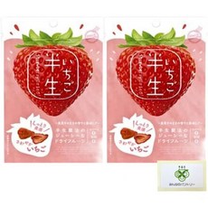 도시샤 말린 과일 일본 반생 반건조 딸기 2봉지