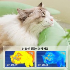 비바로싸 강아지 고양이 쿨매트 논슬립 냉감 여름 매트, 그린, 1개
