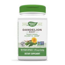 네이쳐스 웨이 단델리온 루트 1575 mg 100 베지캡슐, 100정, 1개