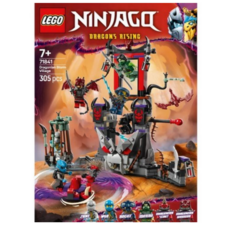 레고 닌자고 71841 드래고니안 스톰 빌리지, 혼합색상, 1개