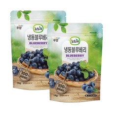 뉴뜨레 냉동블루베리 1kg 미국산, 2개