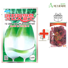 농우바이오 멋진맛깔무 2000립 가을 김장 무 무우 씨 씨앗 종자, 1개