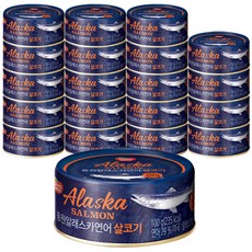 동원 알래스카연어 살코기 통조림 100g, 24개