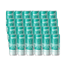 롯데 핫식스 더킹러쉬 355ML X 24개 세트, 24개입