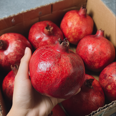 [항공직송] 과즙가득 직수입 탱글탱글 생 석류, 1박스, 중과 1kg