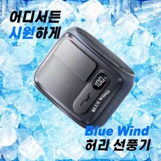 블루윈드 미니선풍기 허리 부착형 냉풍기 등산 캠핑 휴대용 아웃도어 에어건 골프, 골드