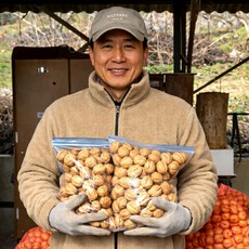 100% 국산 햇 깐 호두 분태 (온살), 1개, 250g