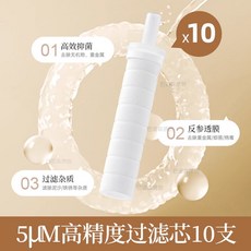 跨境旅行增壓手持花灑噴頭，附凈化過濾器，酒店便攜通用蓮蓬頭套裝, 1個, 【原裝過濾芯-10個裝】