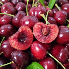 [프리미엄등급] 청량한 레드빛 체리 하루 한 줌의 행복, 1박스, 300g대과