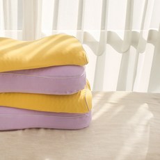 바디씨 뒷목전용 에그젤 베개커버