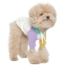 TUSTUS 狗狗拼色連帽T恤, 1個, 混合顏色