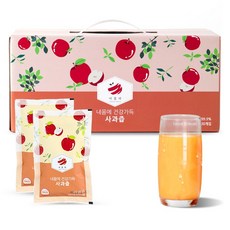 에플레 100 NFC 장수사과 착즙쥬스 사과즙, 3L, 1박스