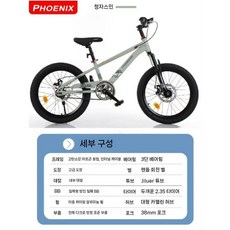 PHOENIX 초등학생 자전거 디스크브레이크 싱글 스피드 산악자전거 로드자전거 16 18 20 22인치, 16인치, 그린