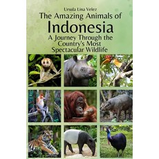(英文圖書)The Amazing Animals of Indonesia: A Journey Through the Region's Most Spectacula... 平裝版, Independently Published, 英文