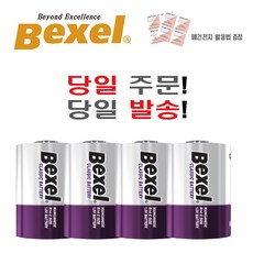 벡셀 R20 D형 건전지 (폐건전지 활용법 증정), 1세트, 2개입