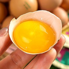 난각번호 1번 무항생제 유기농 유정란, 1세트, 20구