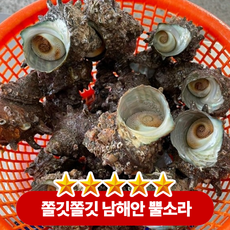 [재구매 1위] 산지직송 국내산 자연산 남해안 뿔소라, 1박스, 1kg