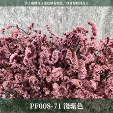 CANLONGER FLOWER 水晶花, 71淺紫,原裝(超取會修剪適合裝箱尺寸), 1個