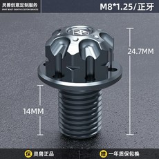 바이크 오토바이 장식 거울 나사 플러그 M8 / M10 x 1.25 Mm 포지티브/역방향 스레드 미러 구멍, [08] M8 positive Titanium, 1개