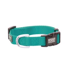 Terrain D.O.G. 나일론 조절 가능한 SNAP 스냅-N-Go 개 목걸이, 민트