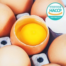 [웰굿] [HACCP] 농장직송 신선한 계란 30구(1판 대란), 상세 설명 참조