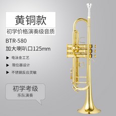 YTR 4335GS 내림B조 실버 초보 수입 악기 연주 트럼펫, 전기영동금, 1개