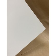 Fion 雪銅紙 190磅 正方卡 傳單 廣告單 DM 禪繞畫 繪圖 雪銅, 1個, 8.7x14cm-100張