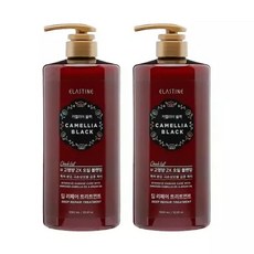 엘라스틴 카멜리아블랙 트리트먼트 1000ml 2개, 1L