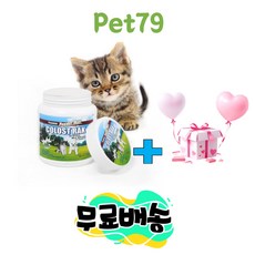 콜로스트락 새끼 고양이 분유 200g 아기 키튼 덤으로 사은품증정, 콜로스트락 고양이분유200g