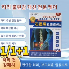 1/1+1 [한번에 통증 완화 패치]그래핀 패치 목 어깨 허리 다리 전용 자석 요법 패치, 6개, 6개입