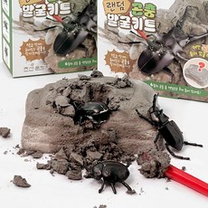 2500 랜덤 곤충 발굴 키트 1개 랜덤 - 랜덤발굴키트 과학교재 교육용 실험 탐험 미술 활용