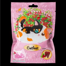 CatFeet 薄荷化毛潔牙餡餅 貓零食, 1個, 貓腳掌 蔓越莓化毛潔牙餅(鮭魚)