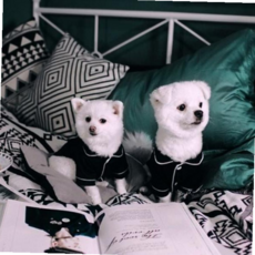 강아지옷 파자마 잠옷 BND-F02 CVWBA998E, 핑크