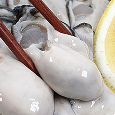 통영직송 탱글한 통영 생굴, 1개, 1kg