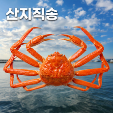 금토끼상점 어부직송 후포리 고수율 박달홍게, 1박스, 박달홍게 4kg (고수율 80~90%)