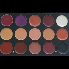 엠아이뷰티 립파레트 15 컬러 메이크업 미용 국가고시 립팔레트, 1개, B