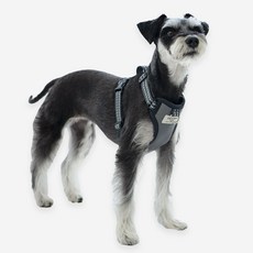 강아지 하네스 앞섬방지 어반 나이트 워커 하네스, 1개, 나이트워커 블랙