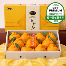 [보자기포함] 선물용 한라봉선물세트 고품격 명절선물세트3kg(7~10과), 1박스