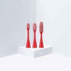 Bright 교체헤드 1세트(2개입), 2개, 01. 교체모 일반헤드 레드
