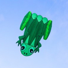 888玩具 888便利購 大青蛙造型風箏(軟式風箏), 1個, 全配組(附輪盤集線器+150米線)