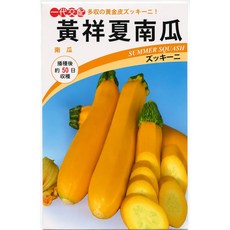 黃祥夏南瓜種子 櫛瓜 泰國進口 播種後約50天可收穫, 1包