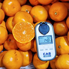 재구매율1위 14Brix 당도끝판왕 제주 천혜향 황금향, 1박스, 3kg