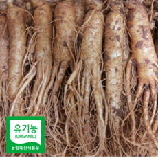 6년근 보양용 산지직송 유기농 수삼 국내산 정성담은 수삼선물세트, 유기농수삼 500g, 500g