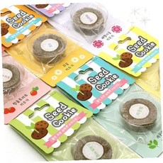 실내 허브 채소 재배 도구 쿠키 모양 디자인 씨앗 발아 키트 창의적 원예 취미, 스위트바질