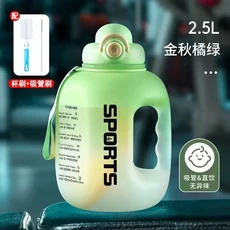 휴대용 스포츠 병 초대형 용량 TTon 배럴 스페이스 인터넷 유명 워터 캠프 요리 하이킹, 01 Green 2.5L