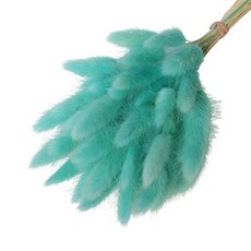 永生乾燥花材兔尾草 50入, 薄荷