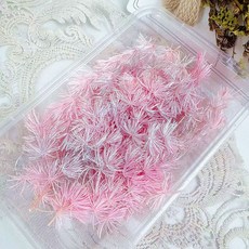 台灣出貨 裝飾 幹花束 花束永生花干花蓬萊松小份做手工禮物浮游暴力熊配草配屬情人母親節日, 銀光粉色約4克左右